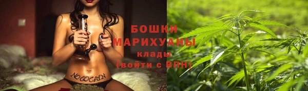 ГАЛЛЮЦИНОГЕННЫЕ ГРИБЫ Богородск