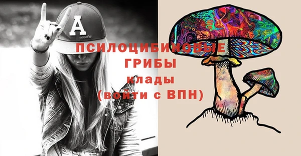 Альфа ПВП Богданович