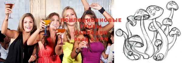 ГАЛЛЮЦИНОГЕННЫЕ ГРИБЫ Богородицк