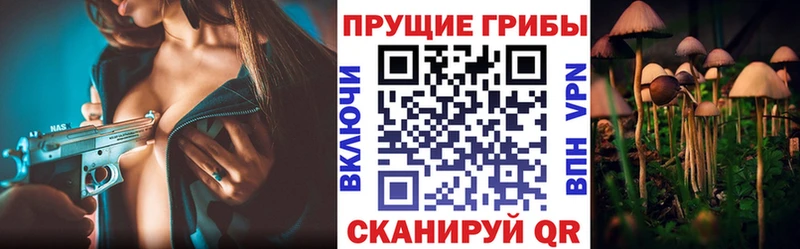 Галлюциногенные грибы Psilocybine cubensis  shop формула  Тотьма  наркошоп 