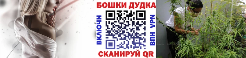 Бошки Шишки план  закладки  Тотьма 